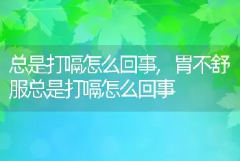 总是打嗝怎么回事，胃不舒服总是打嗝怎么回事