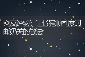 网友经验：让仔猪顺利度过断奶关的做法