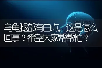 乌龟腿部有白点，这是怎么回事？希望大家帮帮忙？