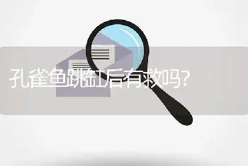 孔雀鱼跳缸后有救吗？