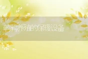 鹌鹑养殖的保暖设备