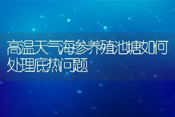 高温天气海参养殖池塘如何处理底热问题