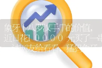 象牙十八罗汉手串的价值，近日花10000元买了一串