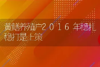 黄鳝养殖户2016年稳扎稳打是上策