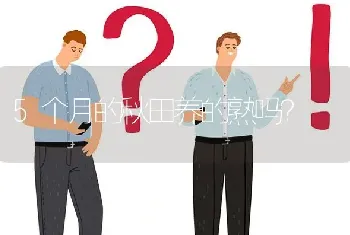 5个月的秋田养的熟吗？