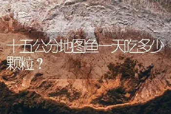 十五公分地图鱼一天吃多少颗粒？