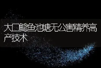 大口鲶鱼池塘无公害精养高产技术