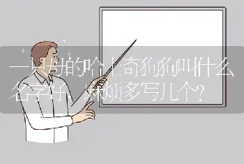 一只母的哈士奇狗狗叫什么名字好，麻烦多写几个？