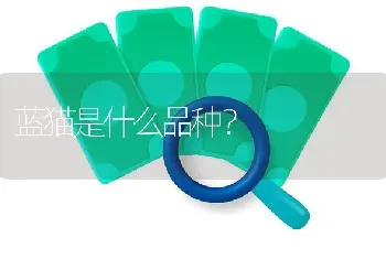 5岁金毛换主多久能适位？