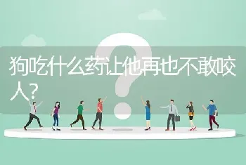 比熊犬寿命多长时间，能活多久？