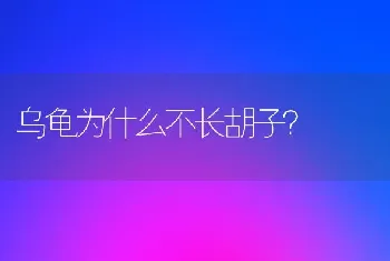 乌龟为什么不长胡子？