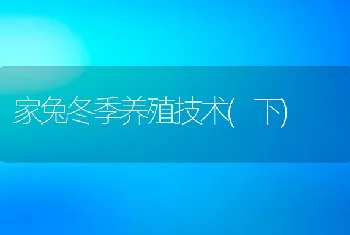 家兔冬季养殖技术(下)