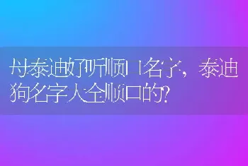 母泰迪好听顺口名字，泰迪狗名字大全顺口的？