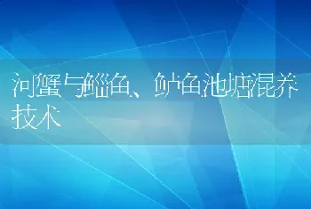 河蟹与鲻鱼、鲈鱼池塘混养技术