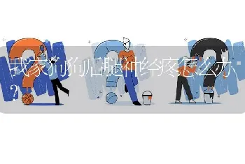 我家狗狗后腿神经疼怎么办？