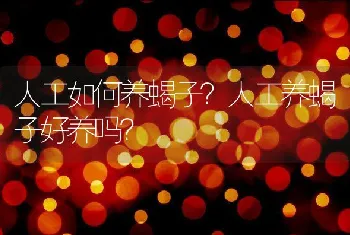 人工如何养蝎子？人工养蝎子好养吗？