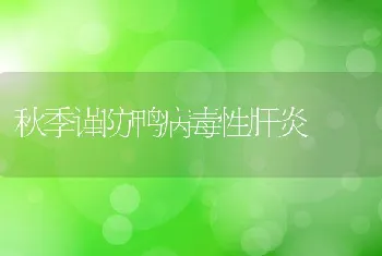 秋季谨防鸭病毒性肝炎