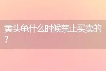 请看完，什么牌子的狗粮适合雪纳瑞吃？