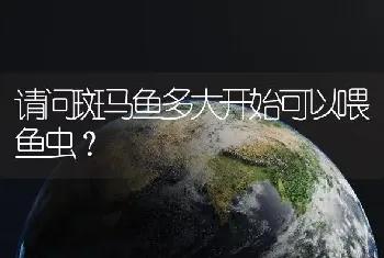 请问斑马鱼多大开始可以喂鱼虫？