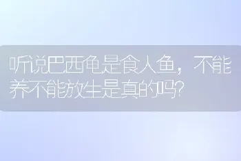 听说巴西龟是食人鱼，不能养不能放生是真的吗？