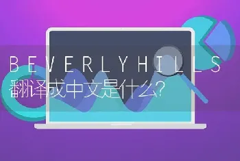 BEVERLYHILLS翻译成中文是什么？