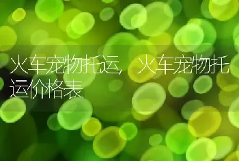 火车宠物托运，火车宠物托运价格表