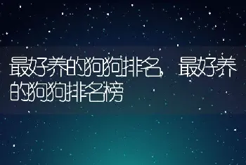 最好养的狗狗排名，最好养的狗狗排名榜