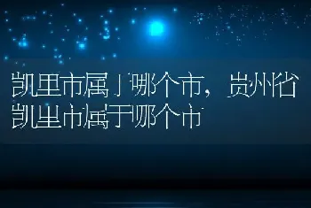 凯里市属于哪个市，贵州省凯里市属于哪个市