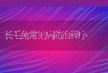 长毛兔常见病防治程序