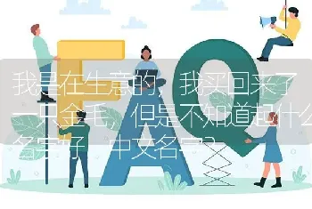 我是在生意的，我买回来了一只金毛，但是不知道起什么名字好，中文名字？