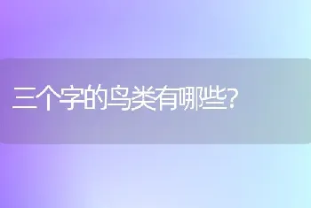 三个字的鸟类有哪些？