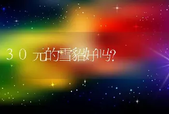 带猫坐高铁要什么手续？