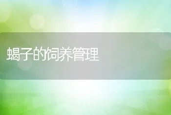 提高夏花鱼种养殖成活率技术