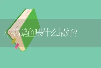 小鹦鹉鱼喂什么最好？