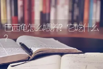 养了几个月的狗养不熟？