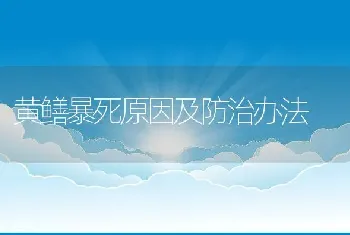 黄鳝暴死原因及防治办法