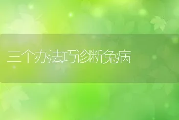 三个办法巧诊断兔病