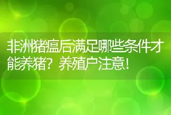 非洲猪瘟后满足哪些条件才能养猪？养殖户注意！