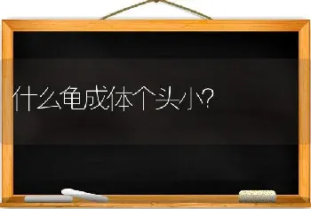 什么龟成体个头小？