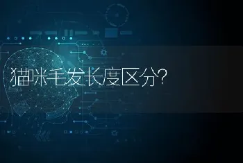 得了胰腺炎的狗狗可以吃啥？