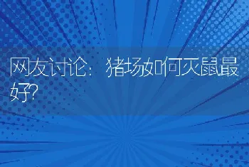 网友讨论：猪场如何灭鼠最好？