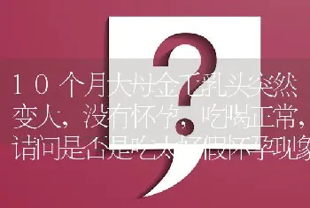 10个月大母金毛乳头突然变大，没有怀孕，吃喝正常，请问是否是吃太好假怀孕现象?是否会影响日后生小狗？