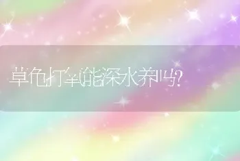 草龟打氧能深水养吗？