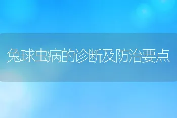 兔球虫病的诊断及防治要点