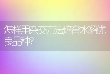 怎样用杂交方法培育水貂优良品种?