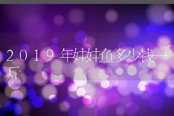 2019年娃娃鱼多少钱一斤