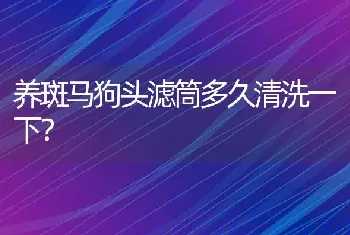 养斑马狗头滤筒多久清洗一下？