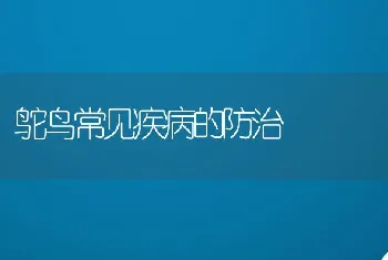 鸵鸟常见疾病的防治