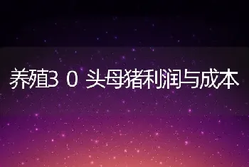 养殖30头母猪利润与成本