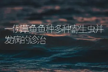 如何防治鱼白云病